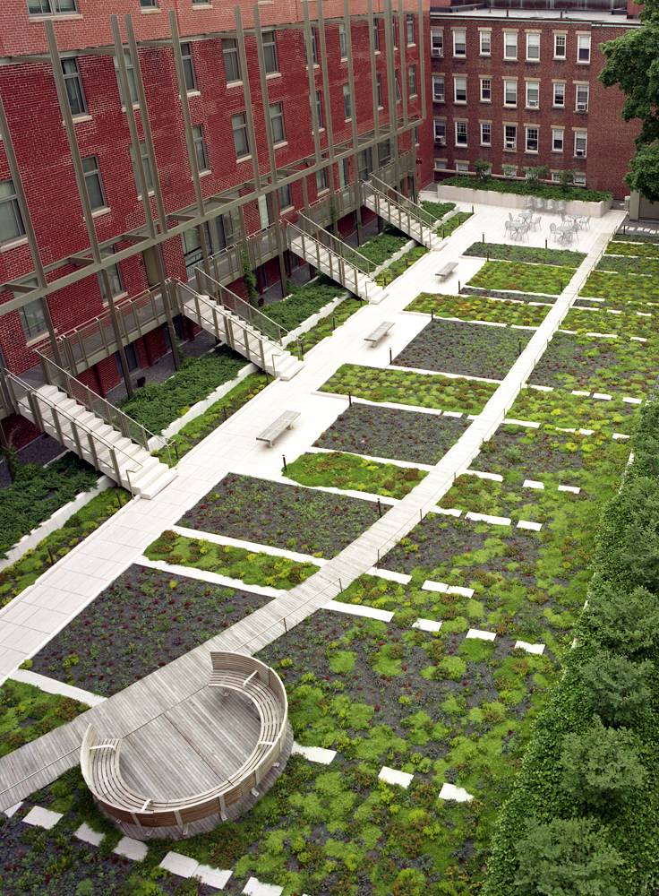 First large-scale green roof in the Northeast makes a ‘found’ quad