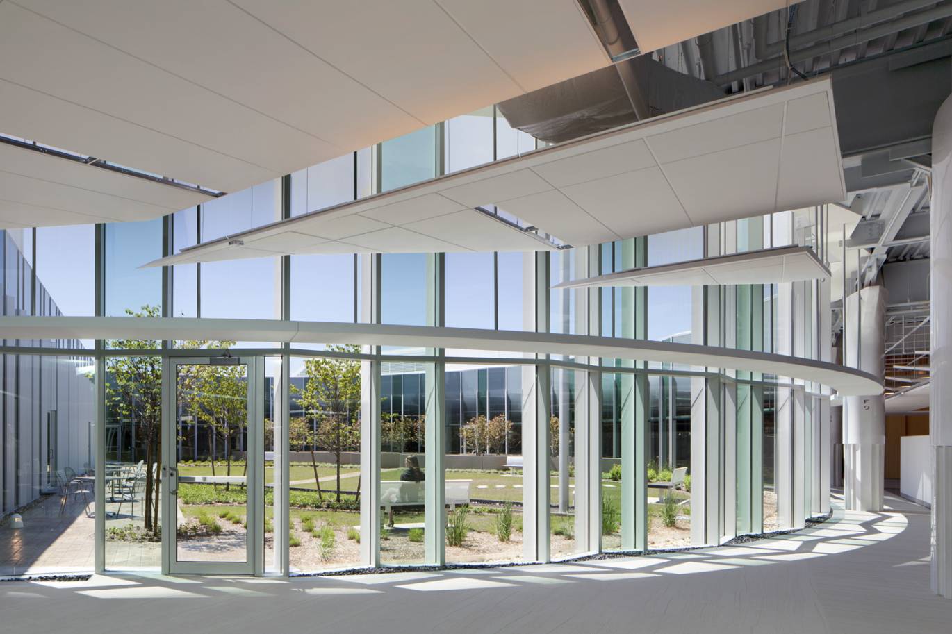 Courtyard in context: giving workspace light & landscape views