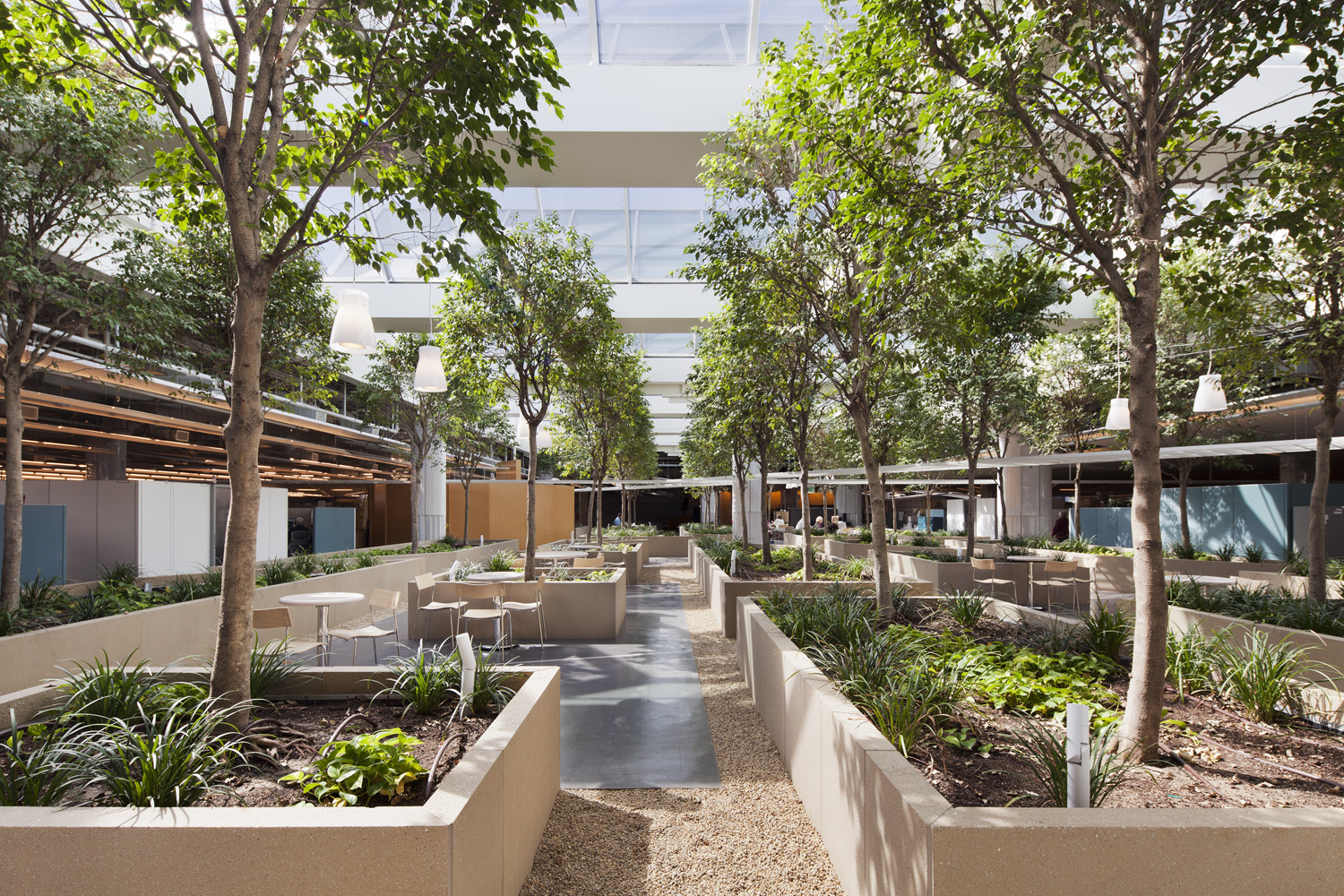 Indoor nature recess & collaboration space