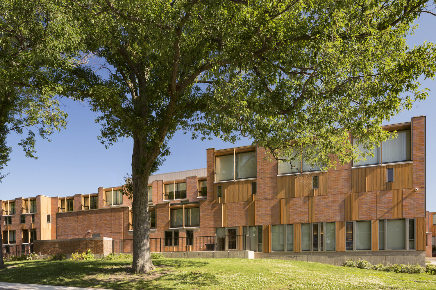 A large school in small pieces to fit into the neighborhood
