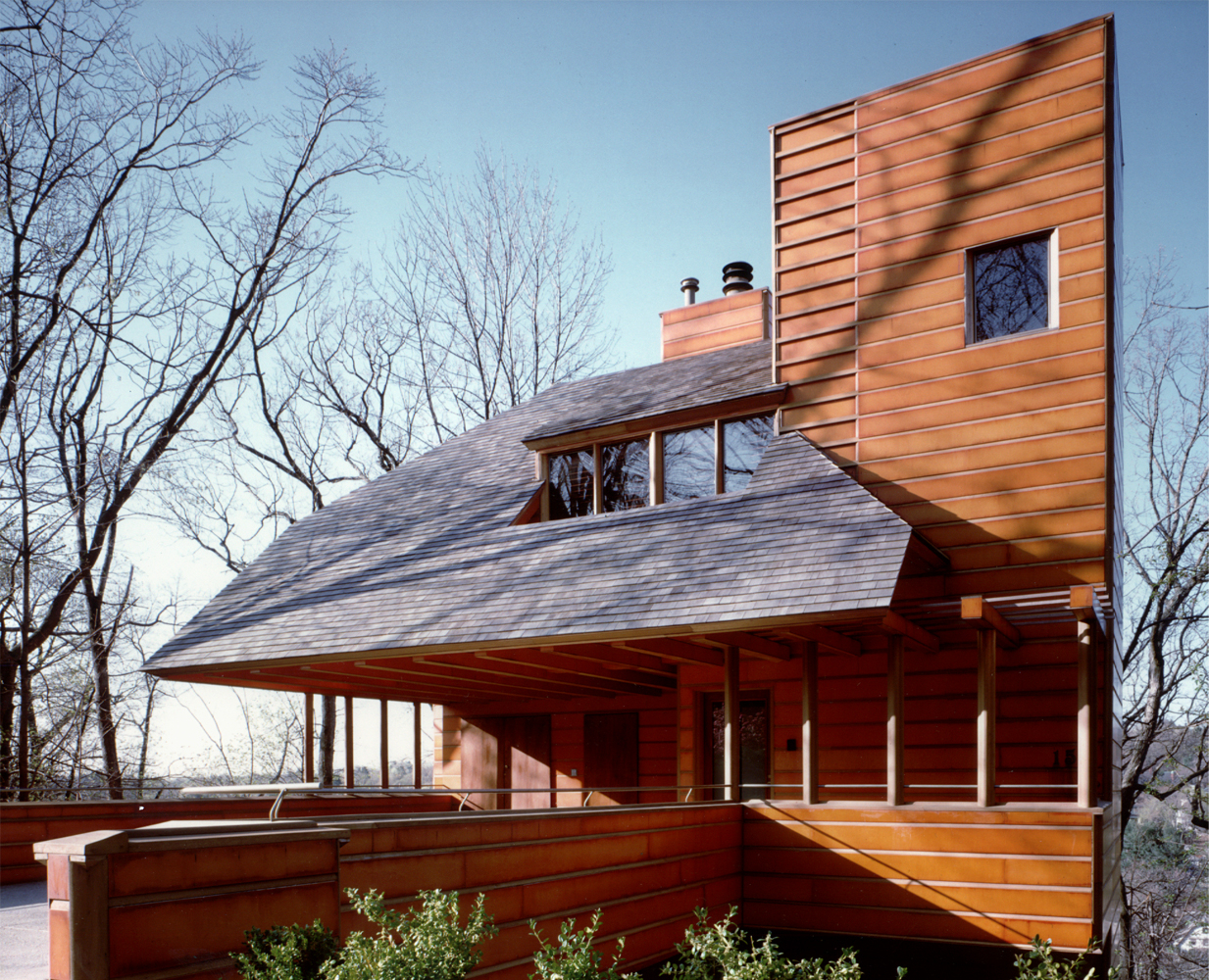 Contemporary & sheltering