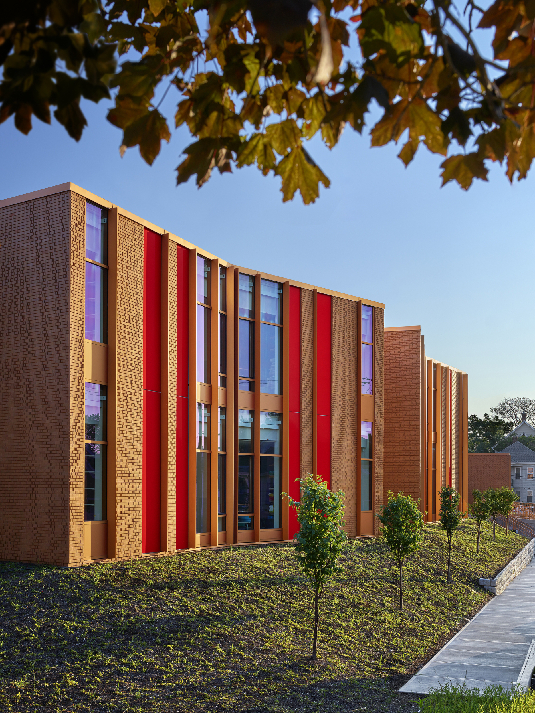 Each Wing with its Own Color Identity  